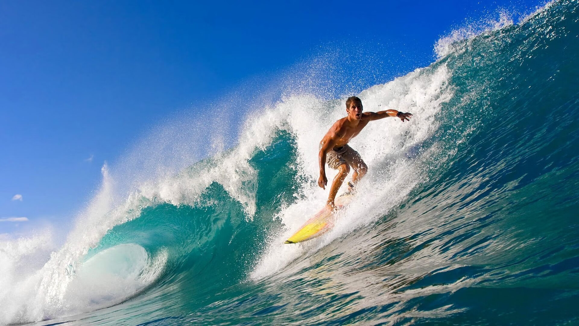 Leyu Sport登录入口-国际泳坛新秀崭露头角，国际泳坛十大